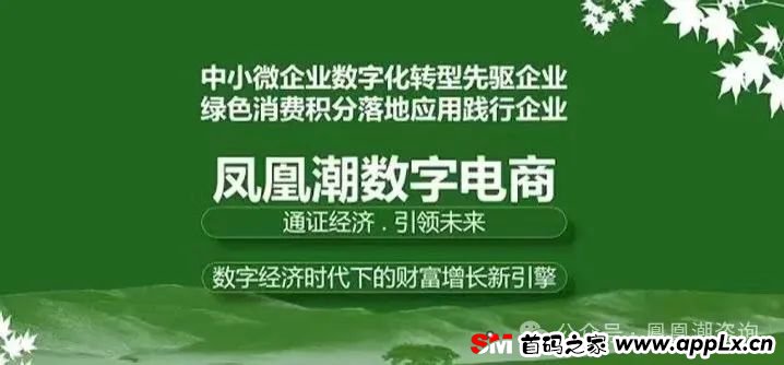 深度解析凤凰潮APP平台，卷轴资金盘，注意警惕