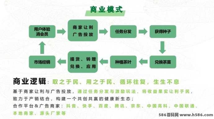 《欢乐茶园》即将双端上线，开启云端种茶之旅，社交互动与趣味玩法结合！