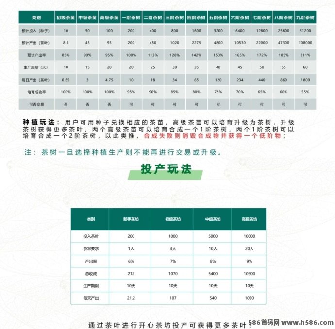 《欢乐茶园》即将双端上线，开启云端种茶之旅，社交互动与趣味玩法结合！