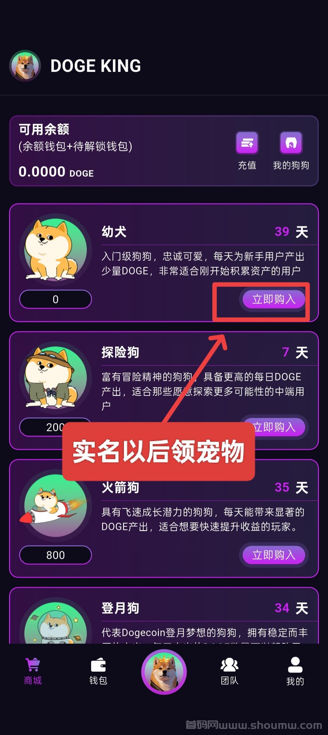 首码DogeKing来袭，抓住机遇，坐享收溢。