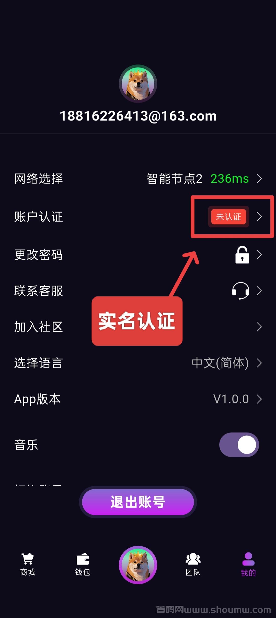 首码DogeKing来袭，抓住机遇，坐享收溢。