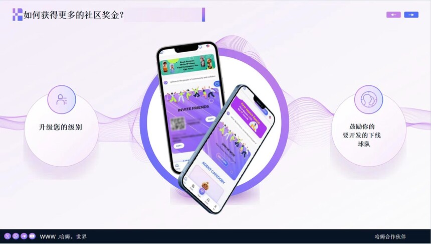 HAHM哈姆点评邀请码：otivliucwu