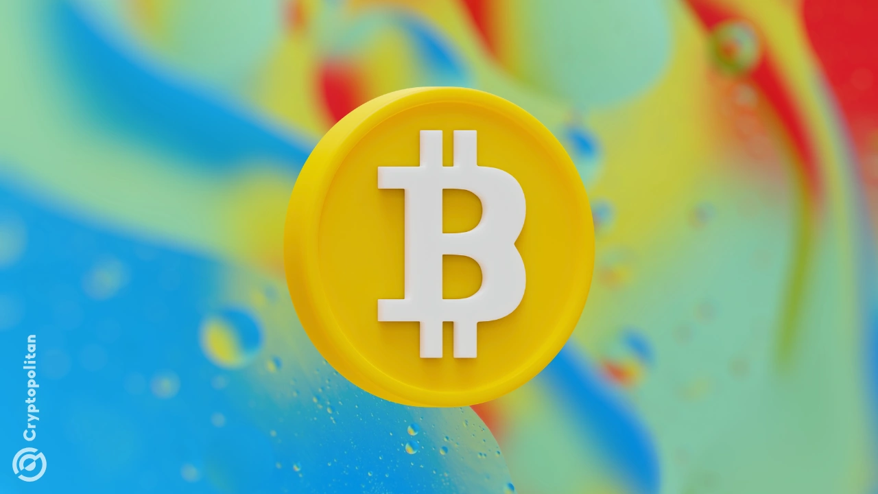 第一季度比特币价格下跌后,顶级资产管理公司将比特币 ETF 现货持仓量削减了 40% 第一季度比特币价格下跌后,顶级资产管理公司将比特币 ETF 现货持仓量削减了 40%