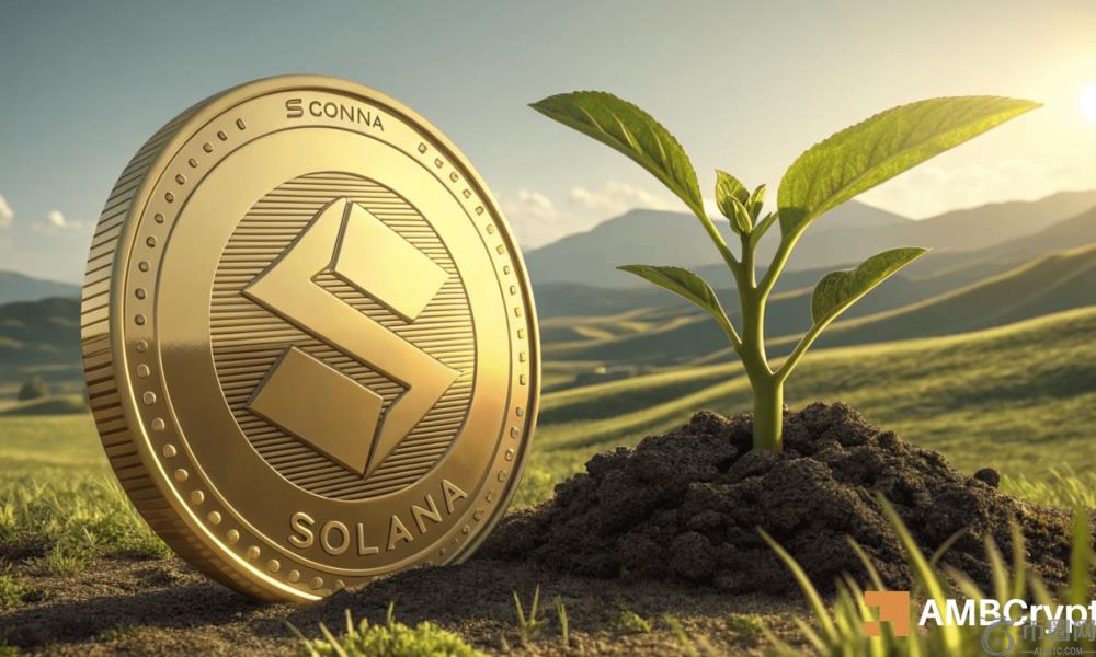 Solana 鲸鱼押注 5080 万美元 SOL:为什么其他人都在谨慎行事? Solana 鲸鱼押注 5080 万美元 SOL:为什么其他人都在谨慎行事?