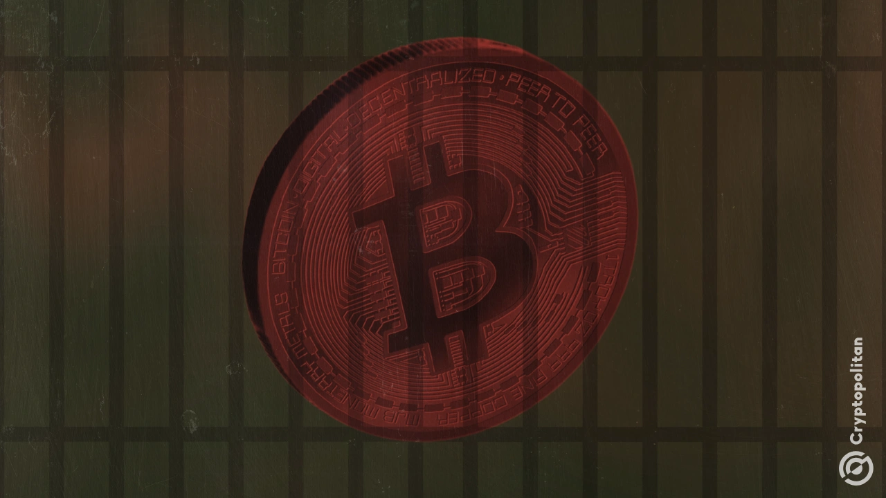 法新社在网络犯罪调查中查获比特币、豪车和豪宅 法新社在网络犯罪调查中查获比特币、豪车和豪宅