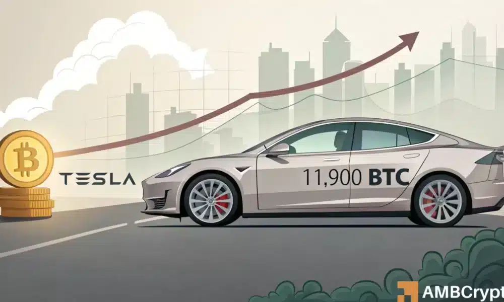 特斯拉的比特币储备飙升——机构如何塑造比特币的未来 特斯拉的比特币储备飙升——机构如何塑造比特币的未来