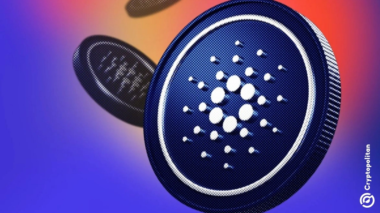 Cardano 接近比特币 DeFi 突破,Minswap 有望创历史新高 Cardano 接近比特币 DeFi 突破,Minswap 有望创历史新高